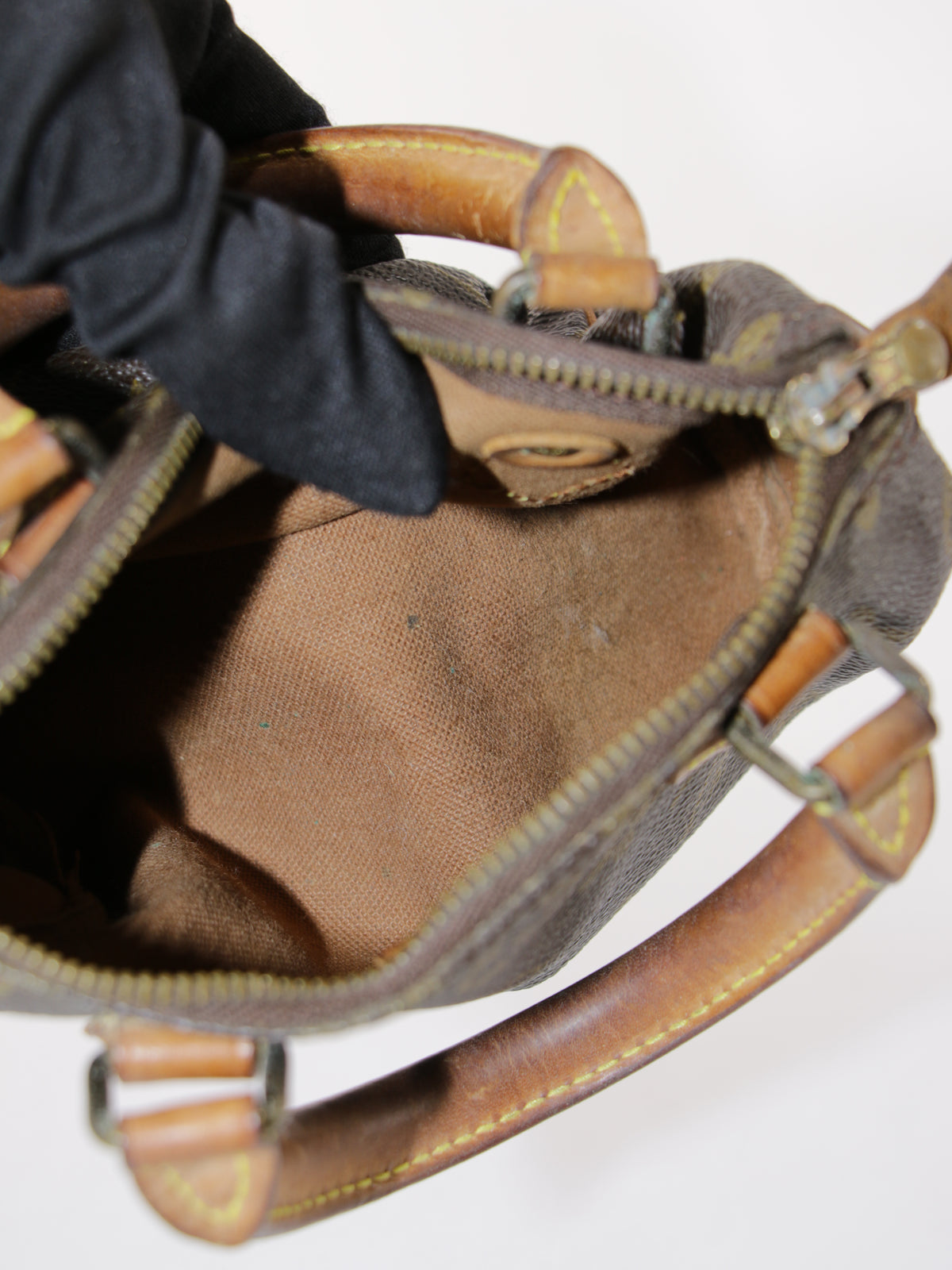 Louis Vuitton Speedy Nano