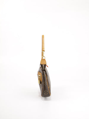 Accessories pochette