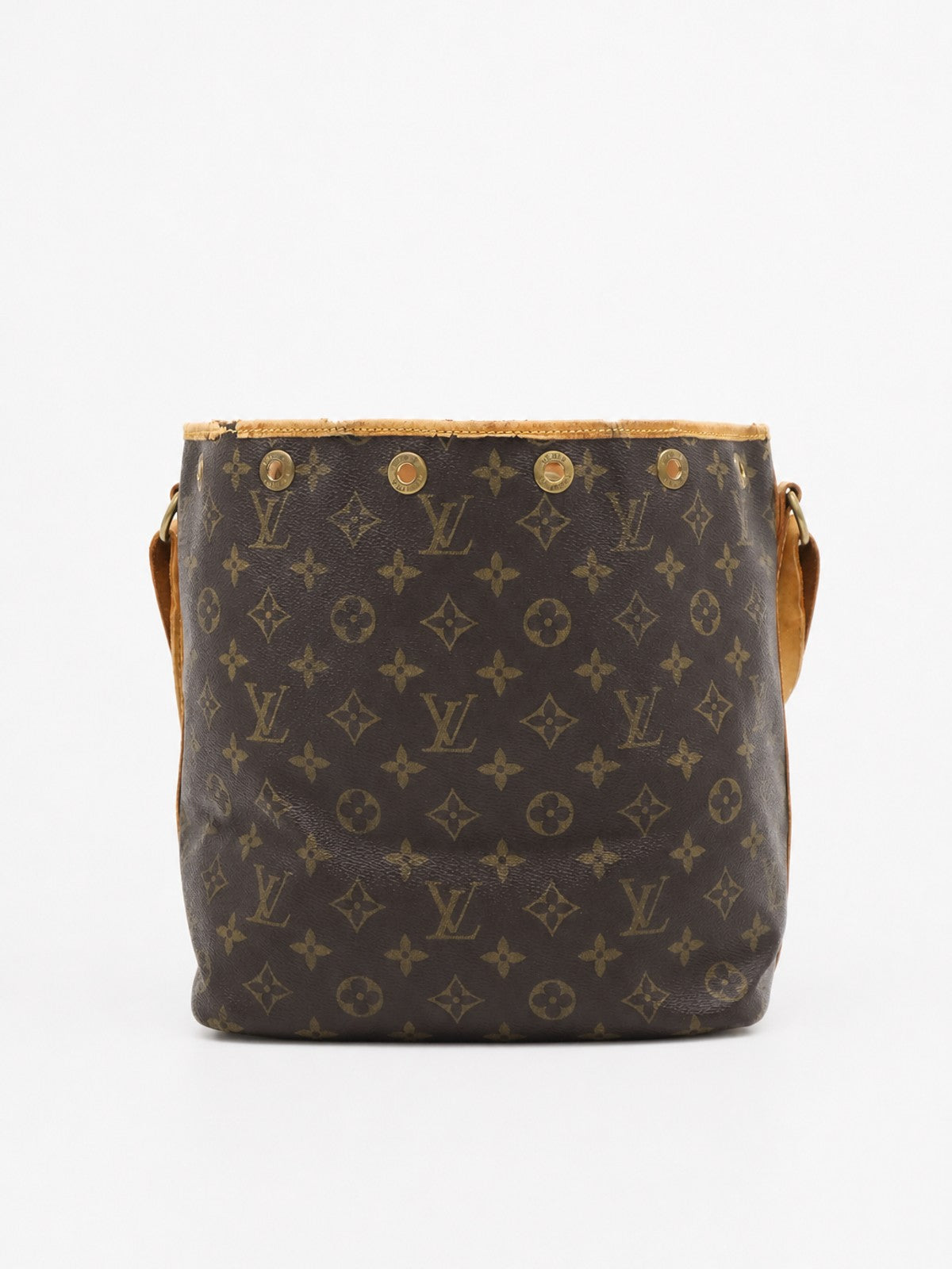 Petit Noé