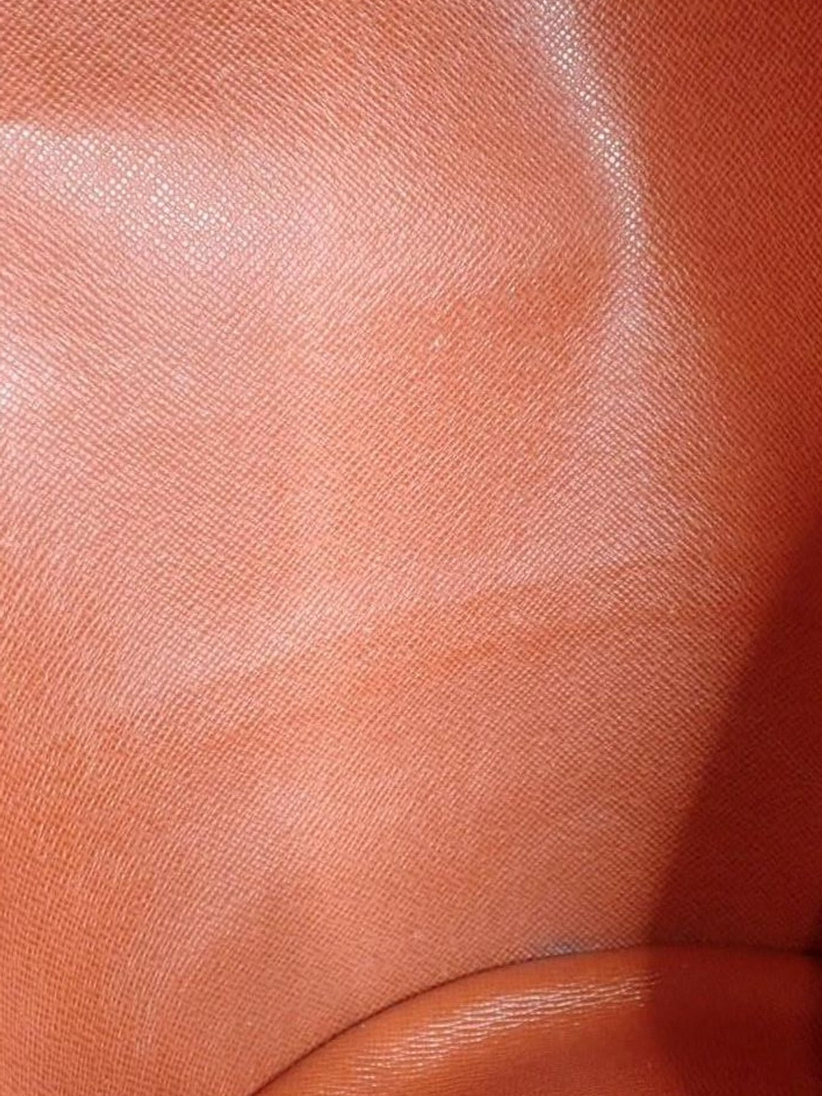 Papillon 30