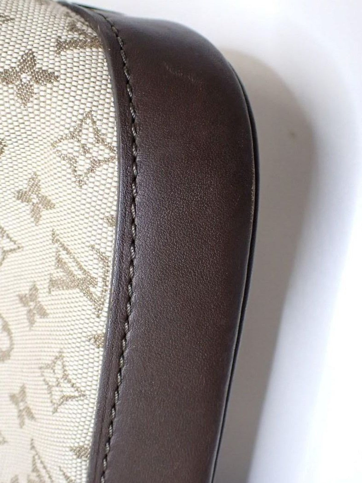 Louis Vuitton Hand Bag