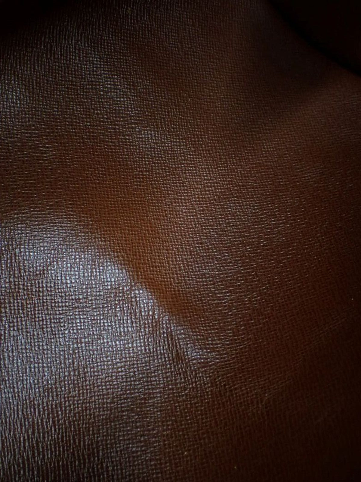 Louis Vuitton Papillon 30