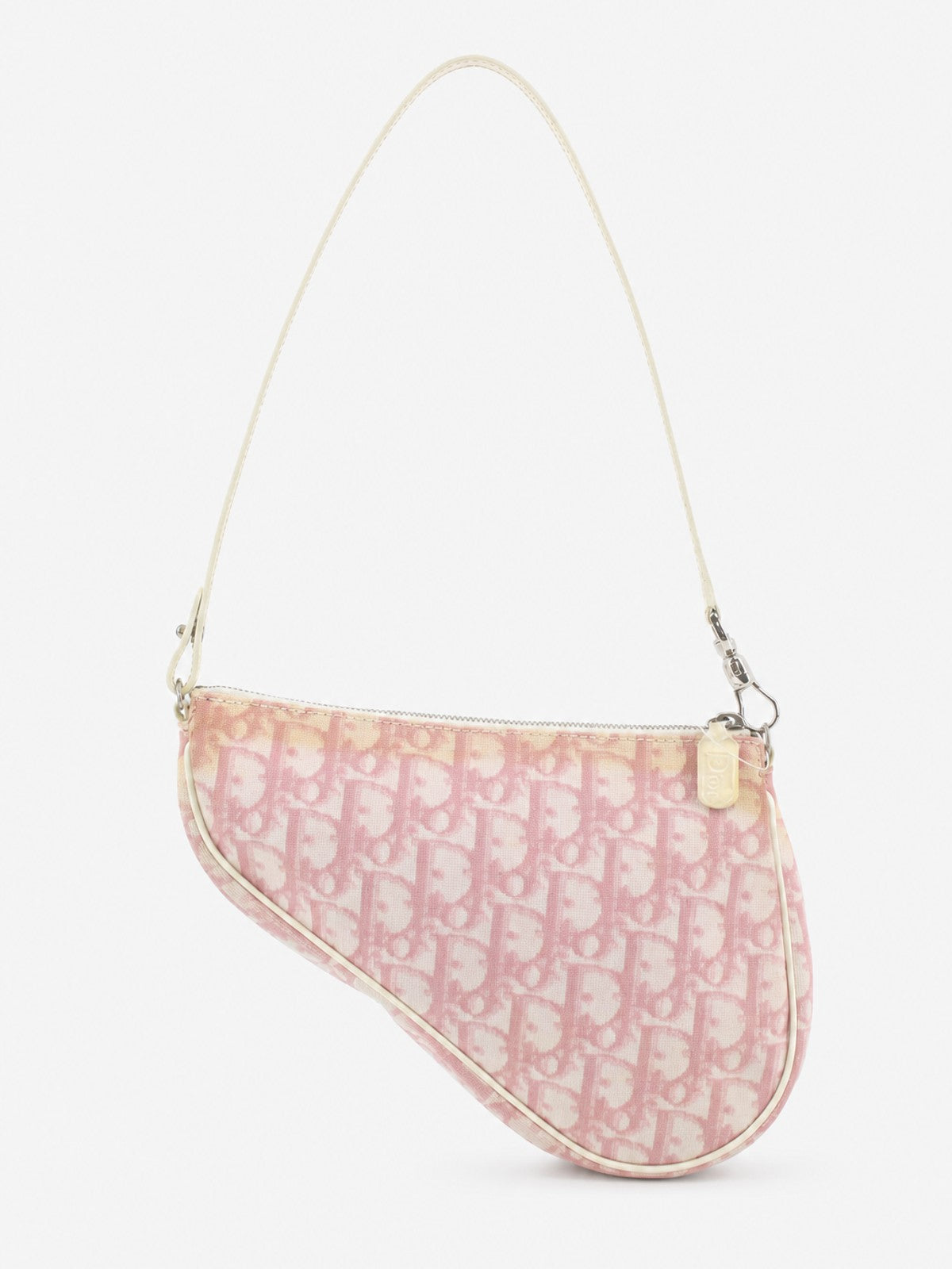 Christian Dior Saddle Pochette