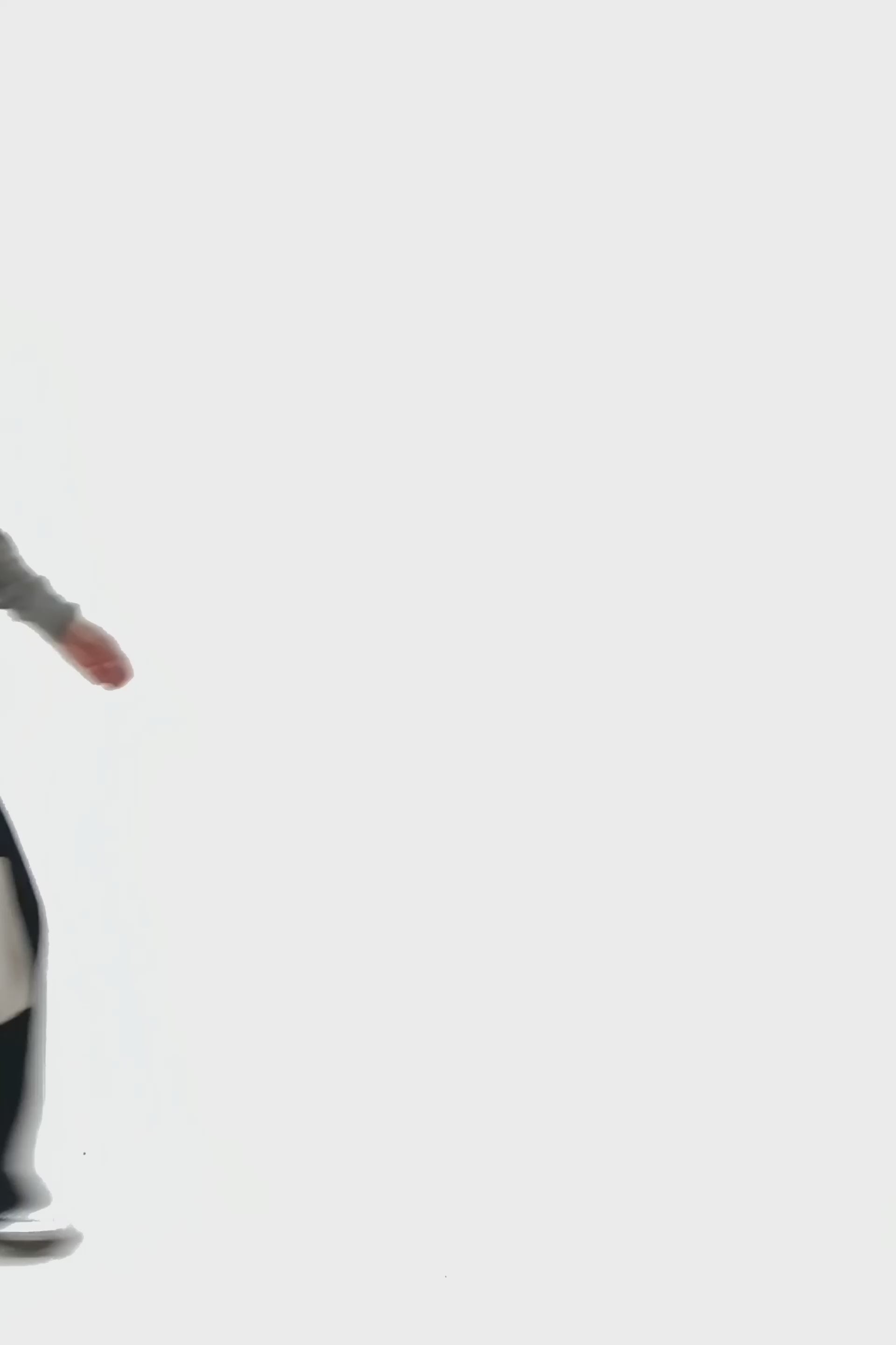 Charger la vidéo : stylingimage